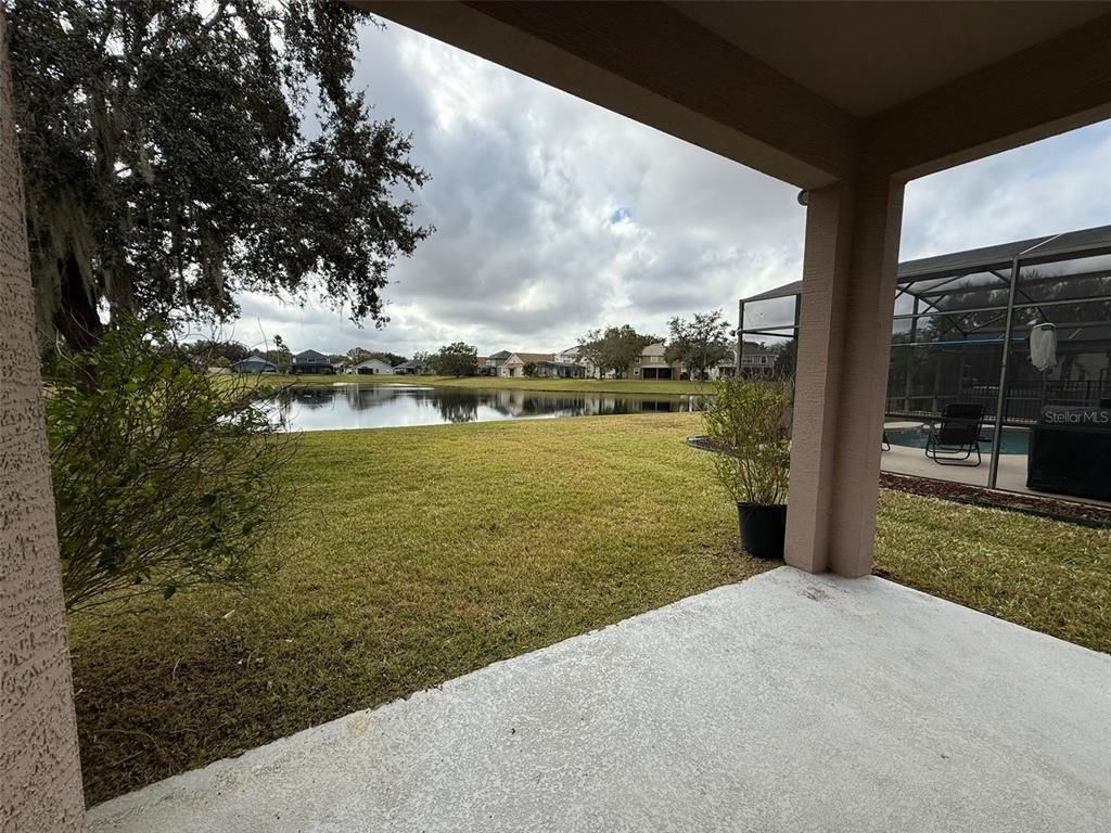 Backyard, Exterior, Water