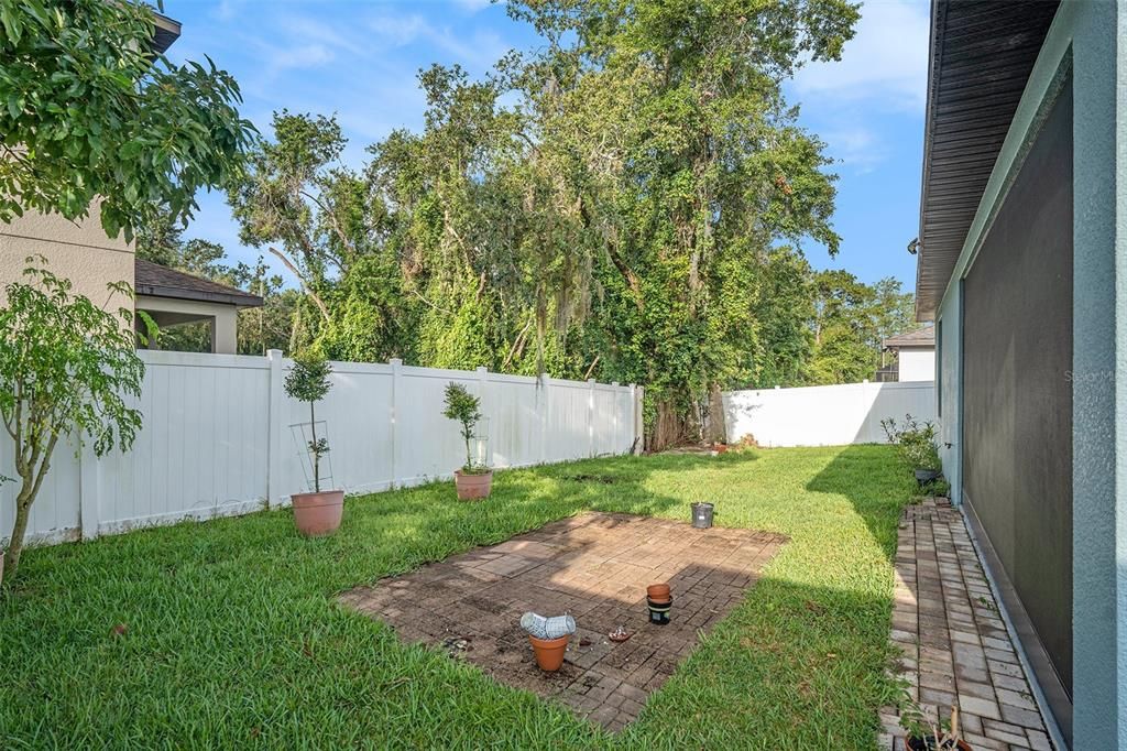 Backyard, Exterior