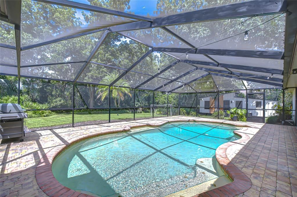 Glass Ceilings, Interior, Pool, Sun Room