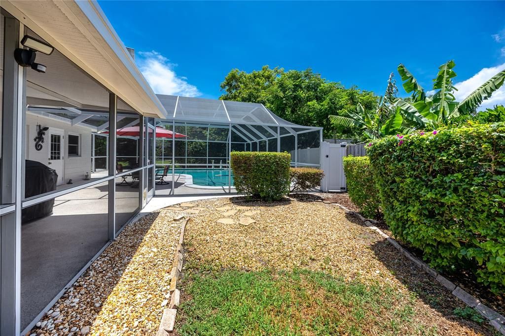 Backyard, Exterior