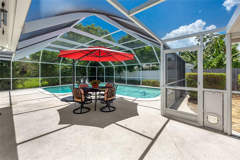 Glass Ceilings, Interior, Pool, Sun Room