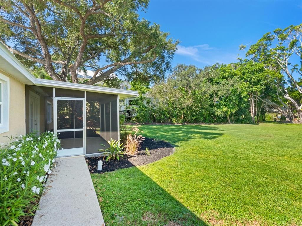Backyard, Exterior