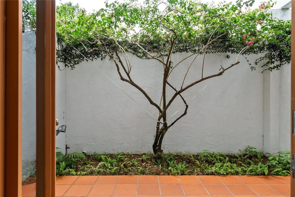 Exterior, Water