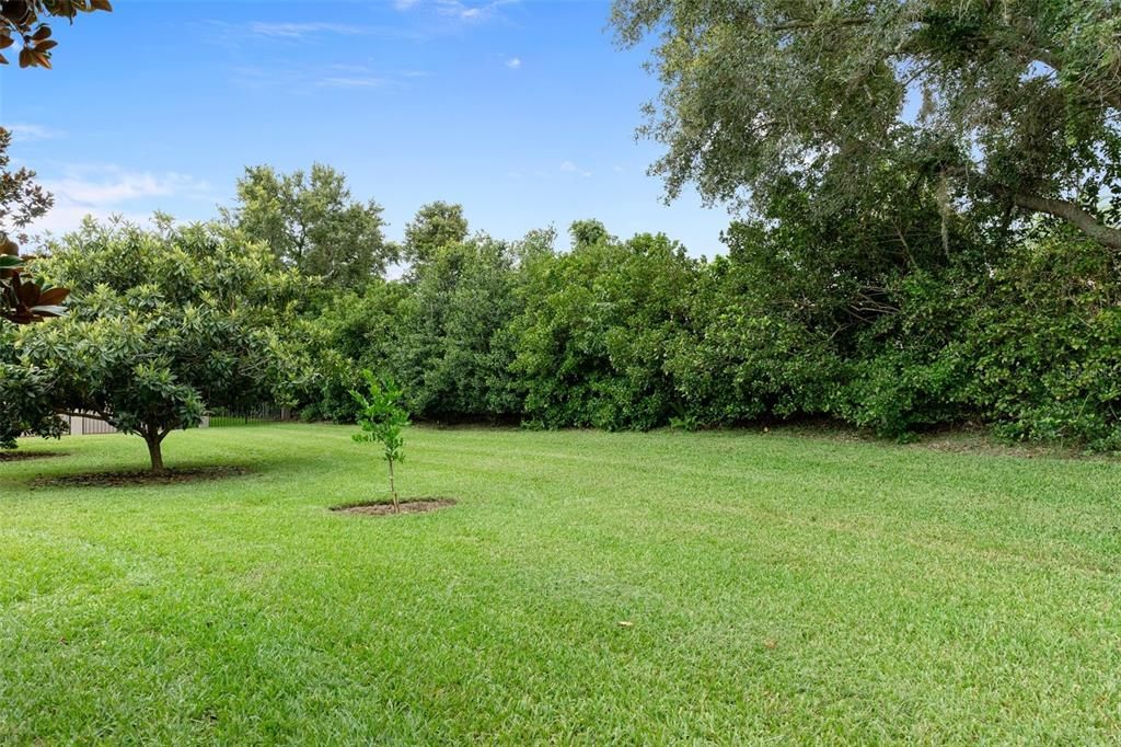 Backyard, Exterior
