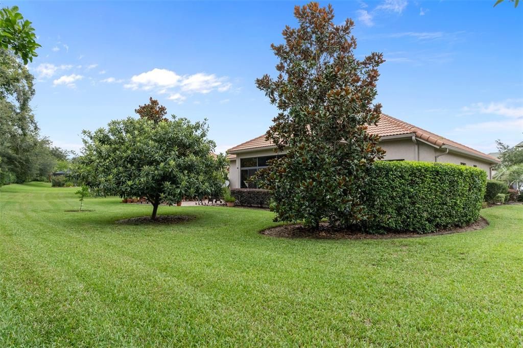 Backyard, Exterior