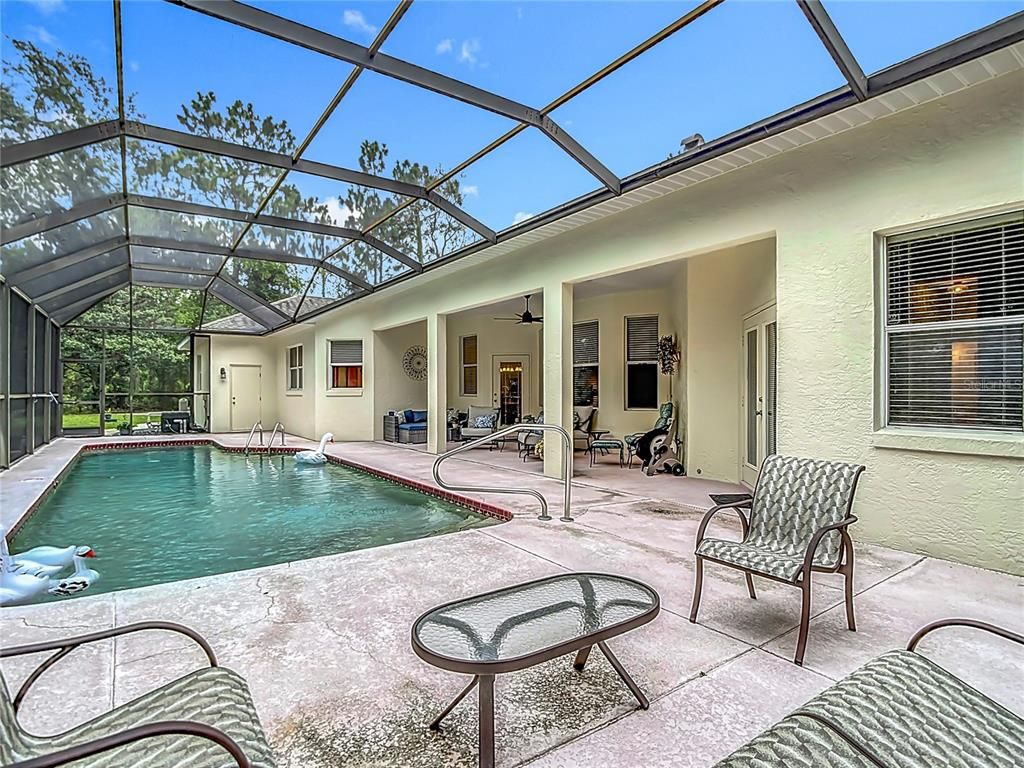 Glass Ceilings, Interior, Pool, Sun Room