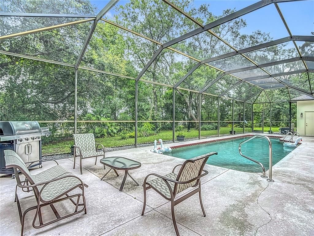 Glass Ceilings, Interior, Pool, Sun Room