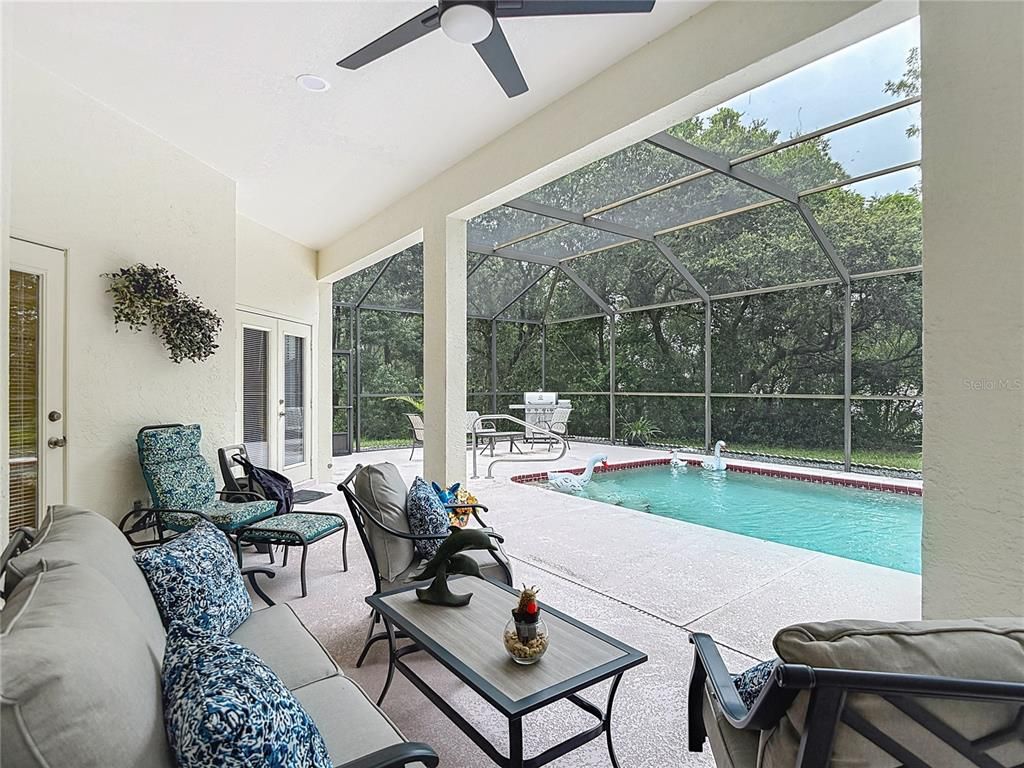 Glass Ceilings, Interior, Pool, Sun Room