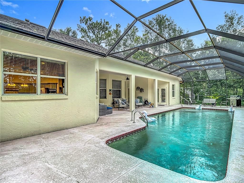 Glass Ceilings, Interior, Pool, Sun Room