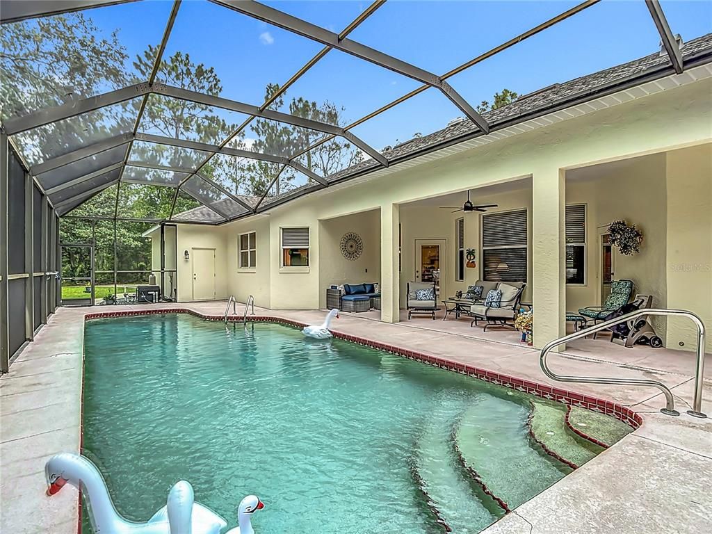 Glass Ceilings, Interior, Pool, Sun Room