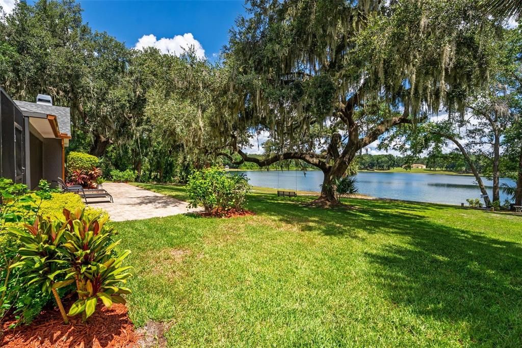 Backyard, Exterior, Water