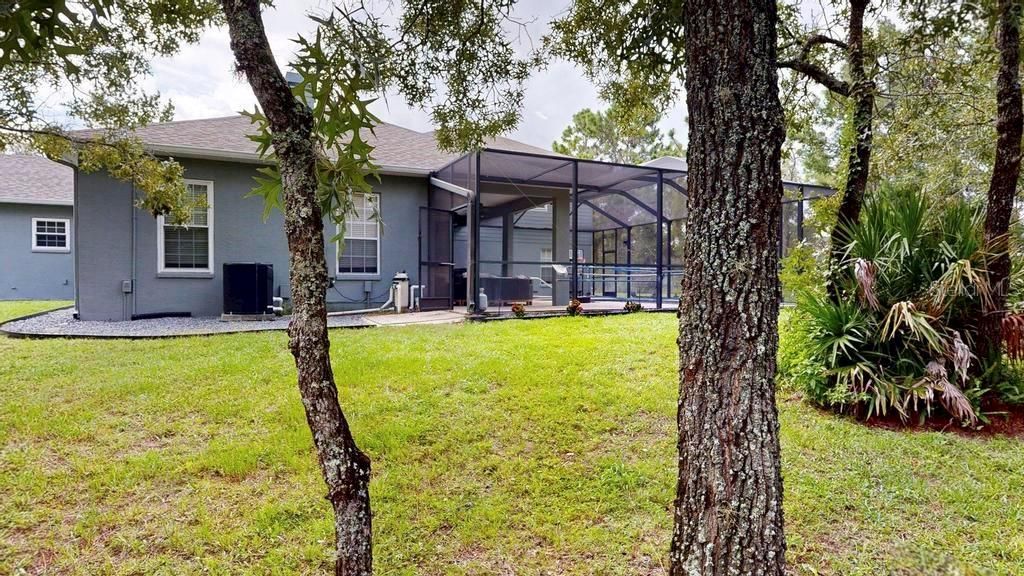 Backyard, Exterior