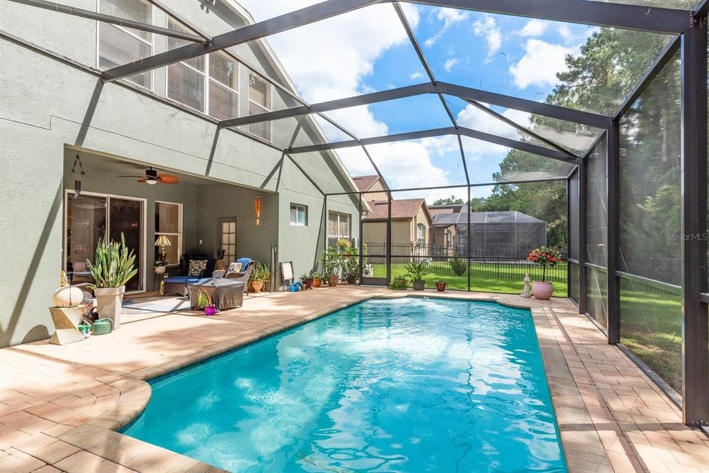 Glass Ceilings, Interior, Pool, Sun Room