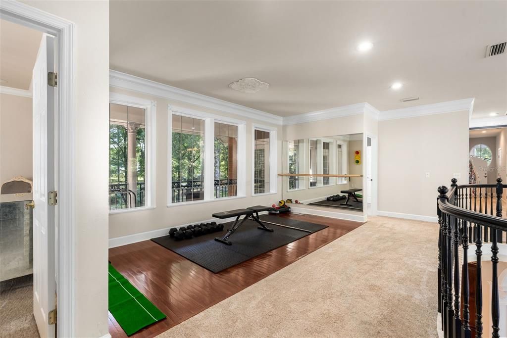 Fitness Equipment, Interior, Recessed Lighting, Wood Texture Flooring