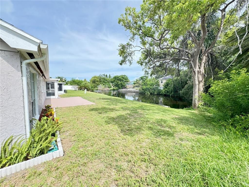 Backyard, Exterior, Water