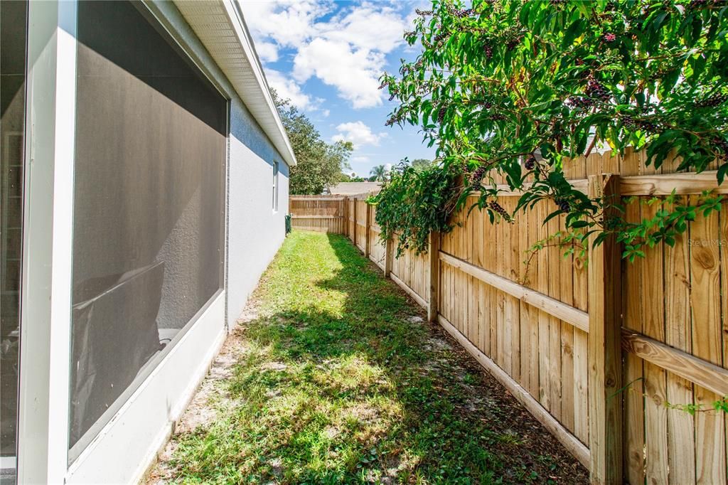Backyard, Exterior
