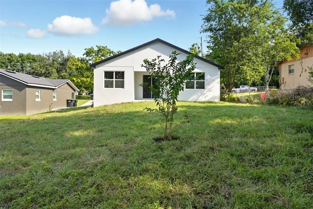 Backyard, Exterior