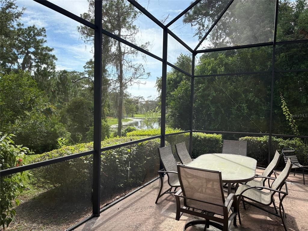 Glass Ceilings, Interior, Sun Room