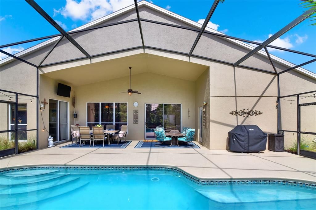 Glass Ceilings, Interior, Pool, Sun Room