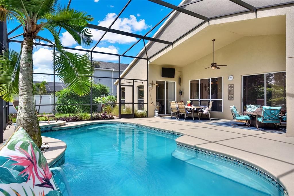 Glass Ceilings, Interior, Pool, Sun Room