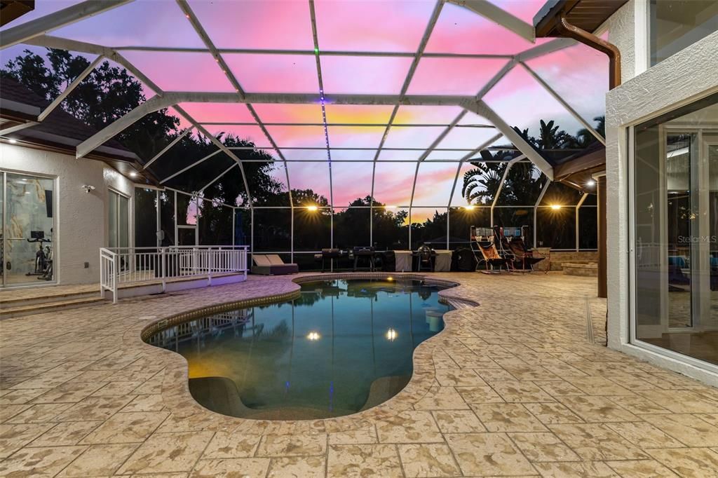 Glass Ceilings, Interior, Pool, Sun Room
