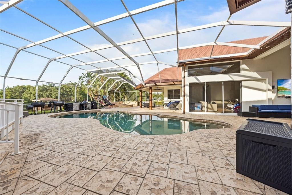 Glass Ceilings, Interior, Pool, Sun Room