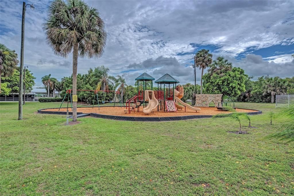Backyard, Exterior, Playground