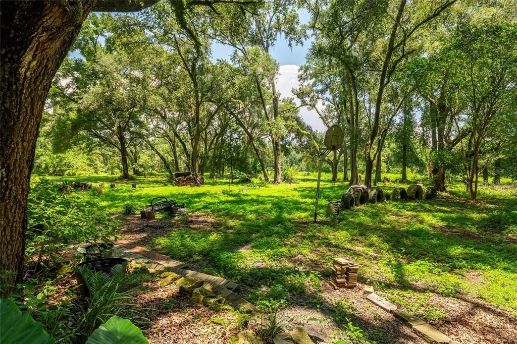 Backyard, Exterior