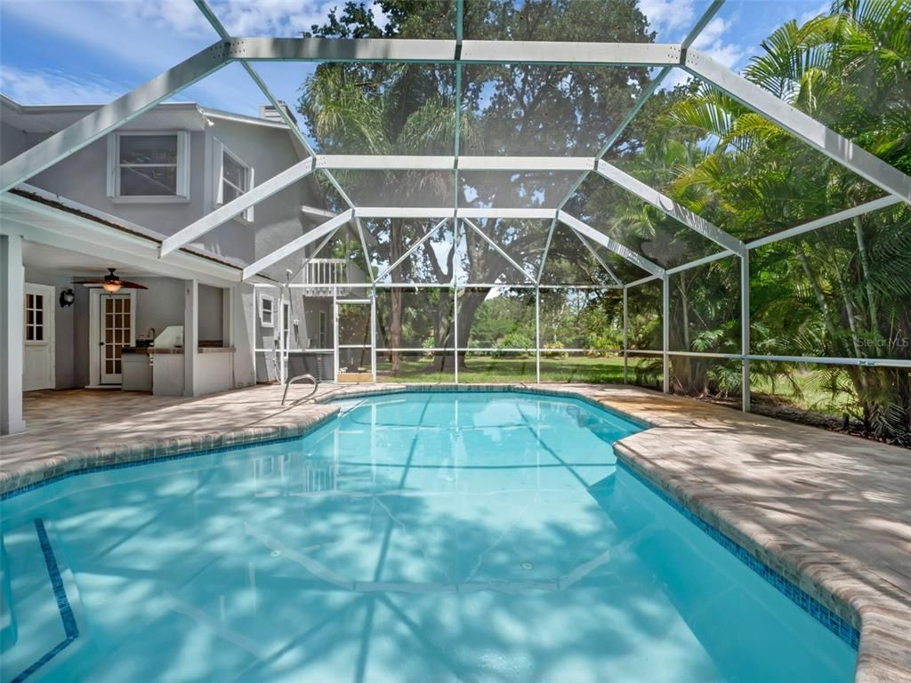 Glass Ceilings, Interior, Pool, Sun Room