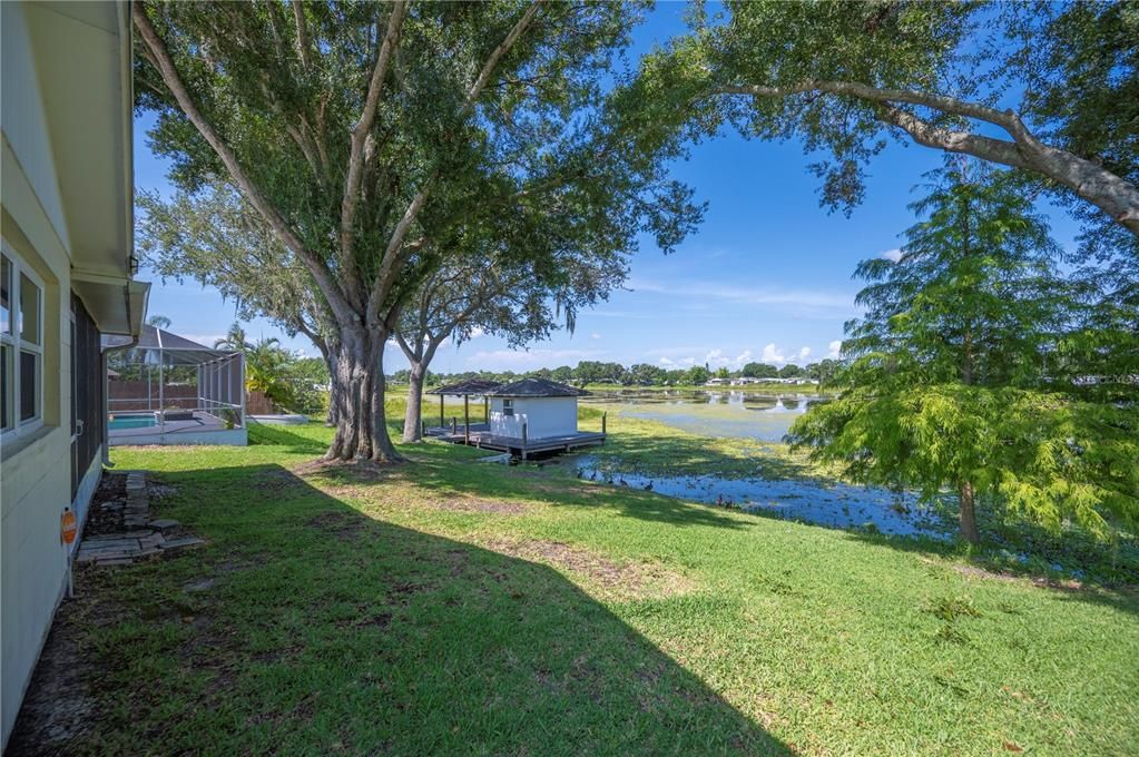Backyard, Exterior, Water