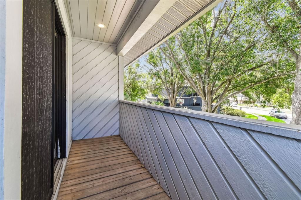 Exterior, Wood Texture Flooring