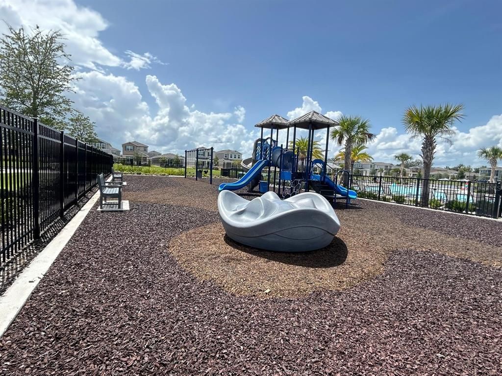 Backyard, Exterior, Playground