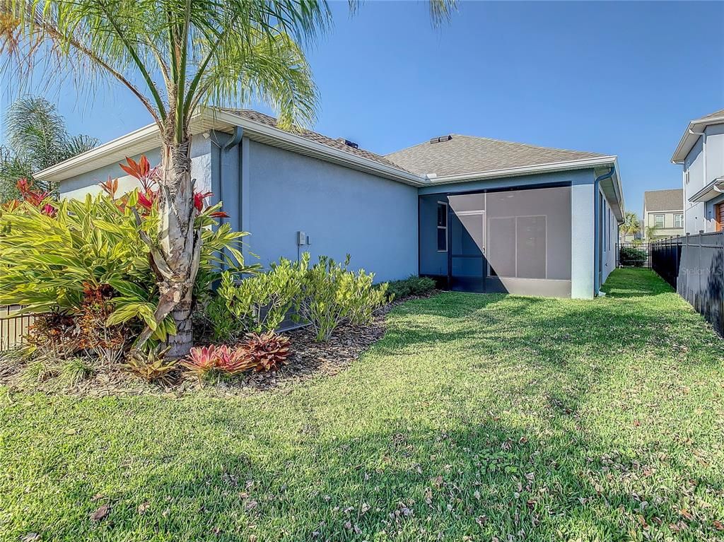 Backyard, Exterior