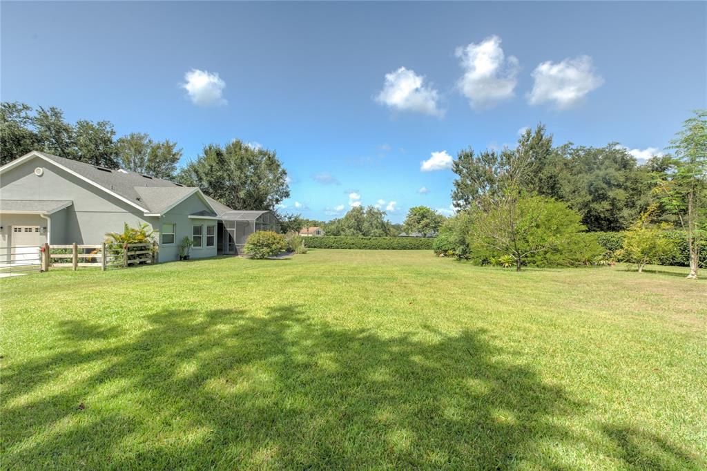 Backyard, Exterior