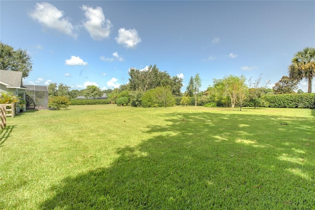 Backyard, Exterior