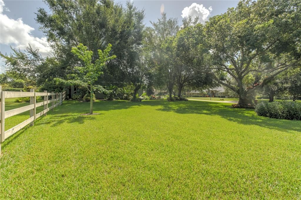 Backyard, Exterior
