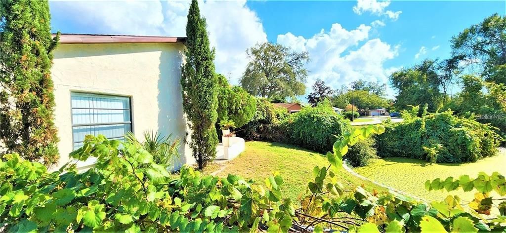 Backyard, Detached Garage, Exterior