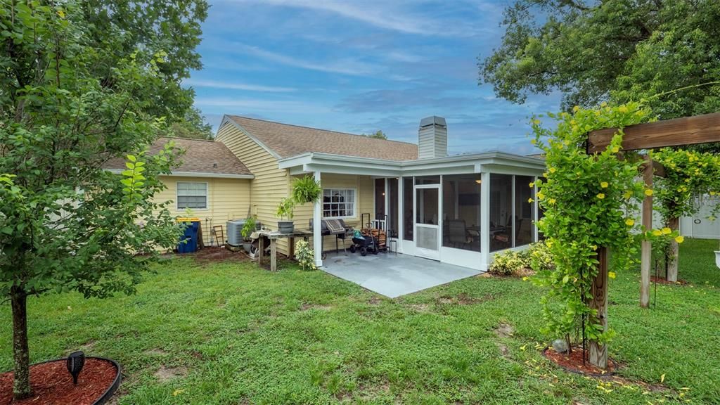 Backyard, Exterior