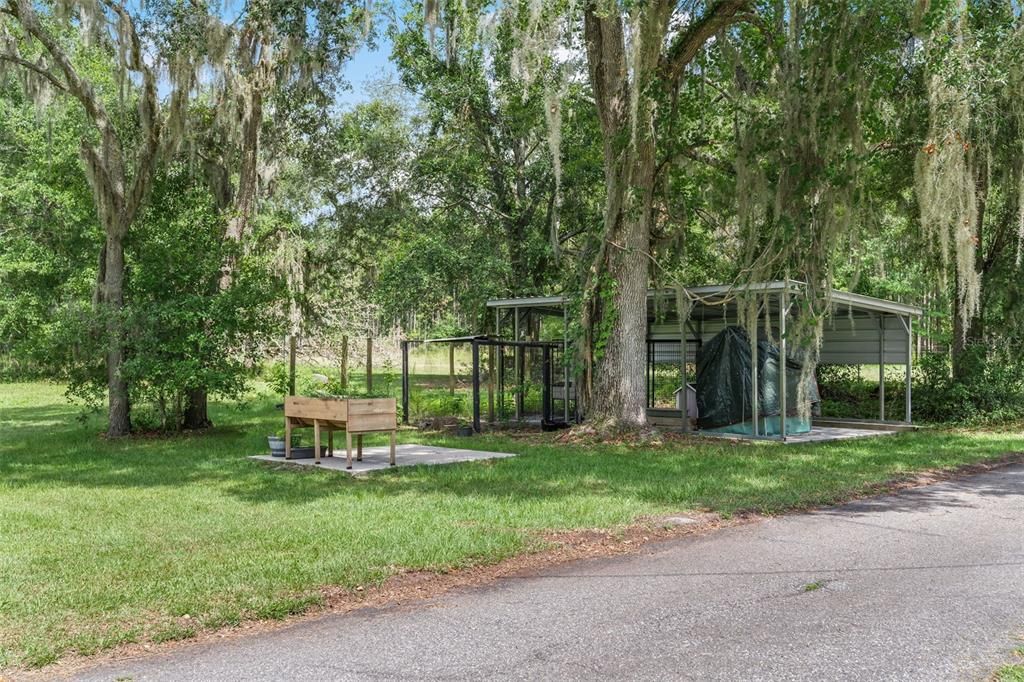 Backyard, Exterior