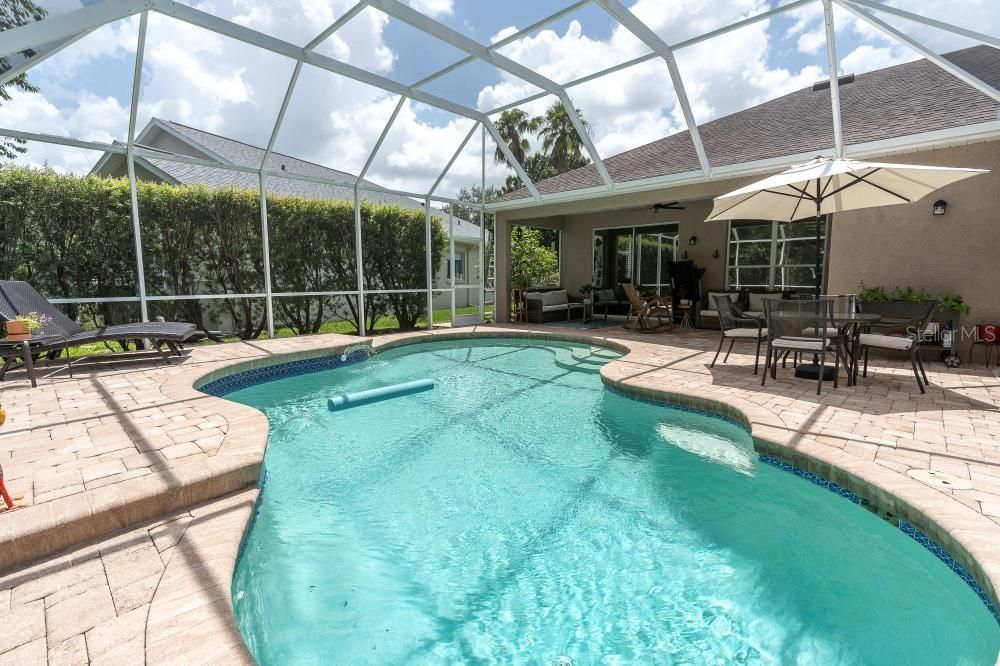 Glass Ceilings, Interior, Pool, Sun Room