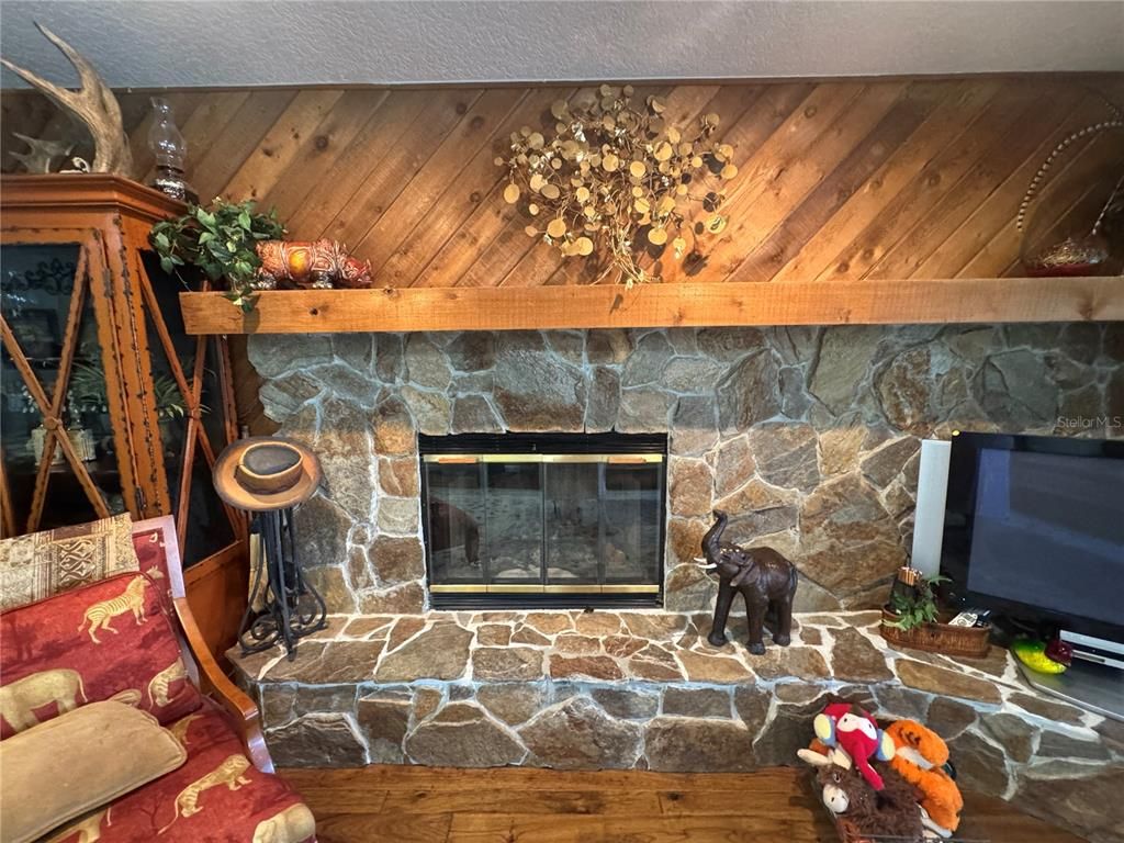 Fireplace, Interior, Wooden Ceilings