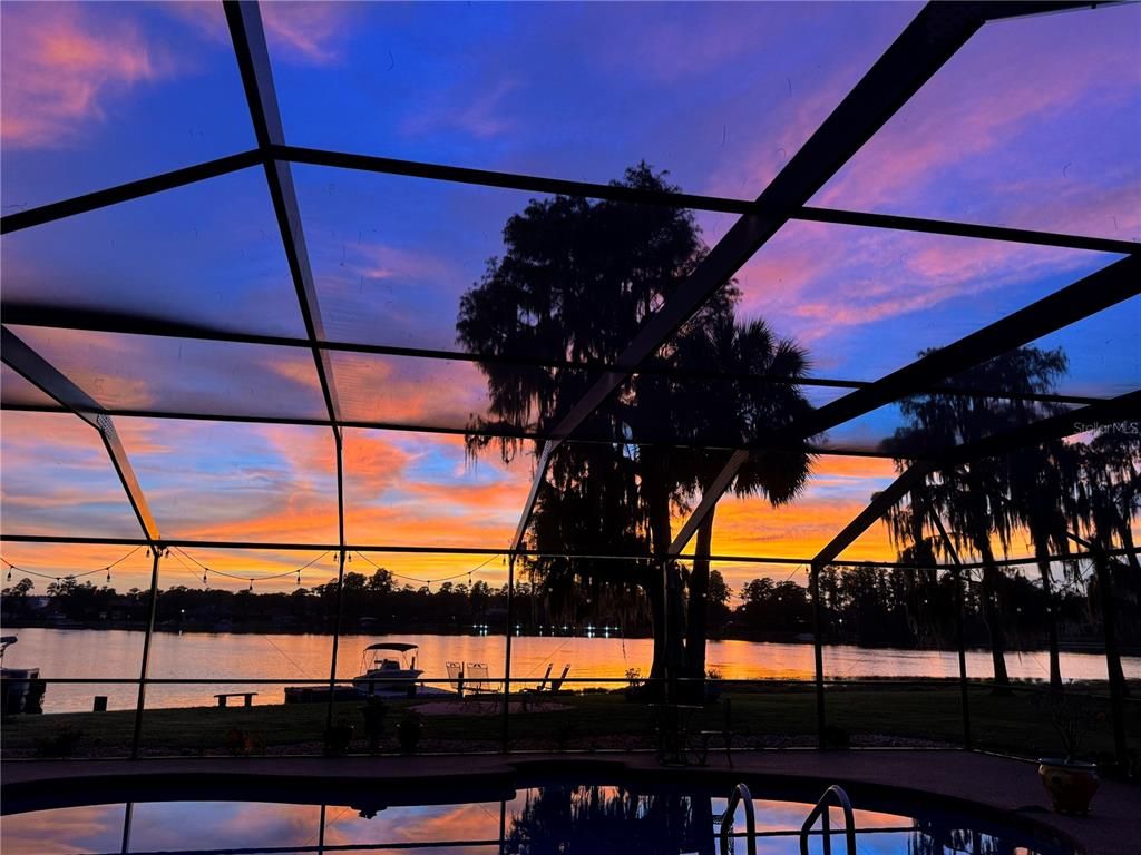 Glass Ceilings, Interior, Sun Room, Water