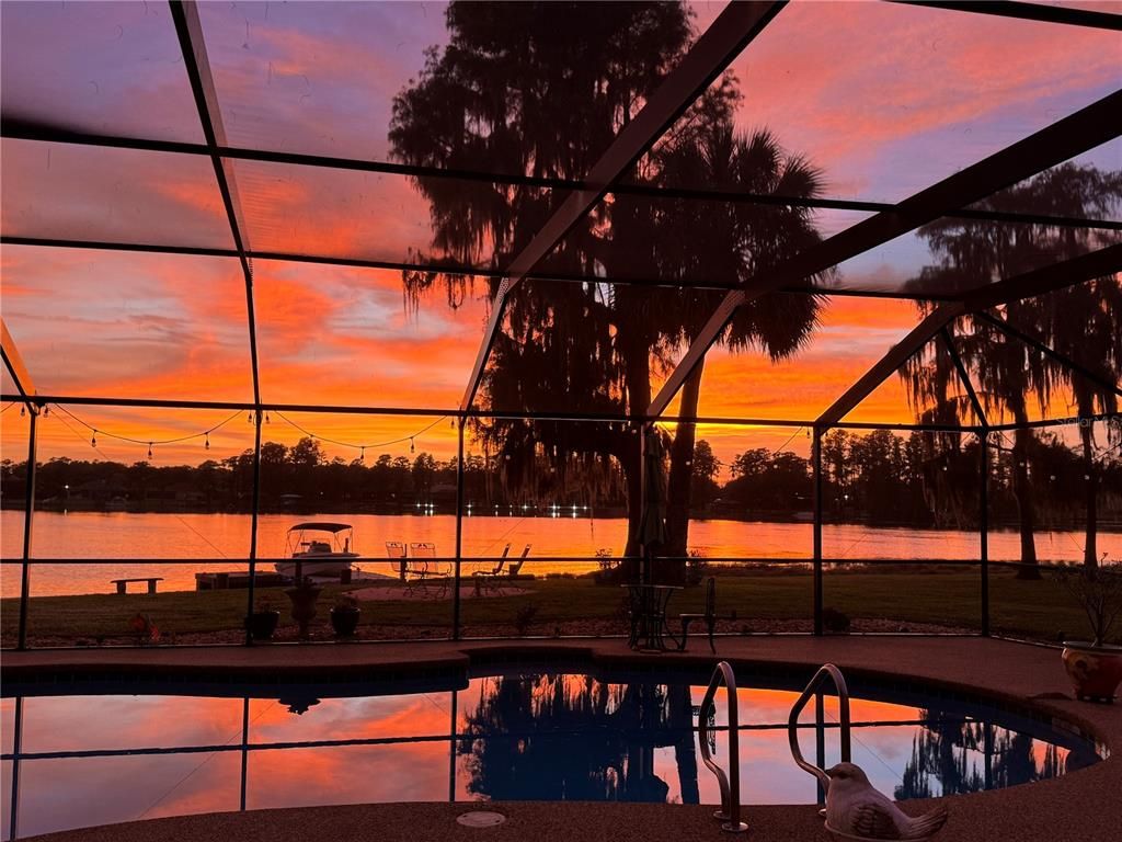 Glass Ceilings, Interior, Pool, Sun Room, Water
