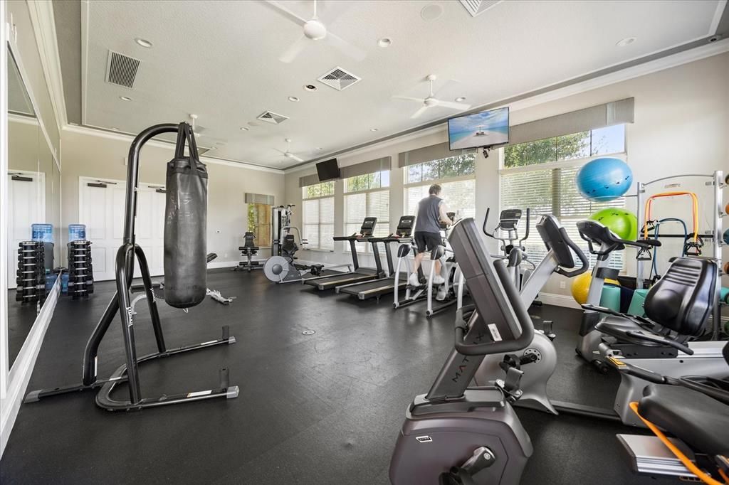 Fitness Equipment, Gym, Interior, Recessed Lighting