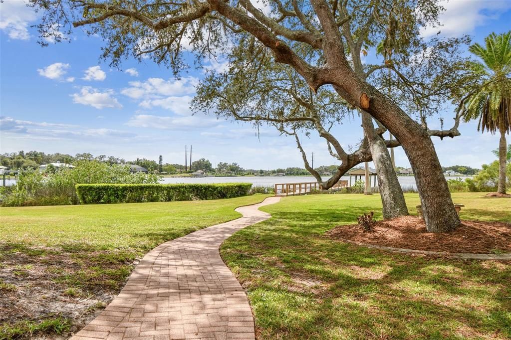 Backyard, Exterior, Water