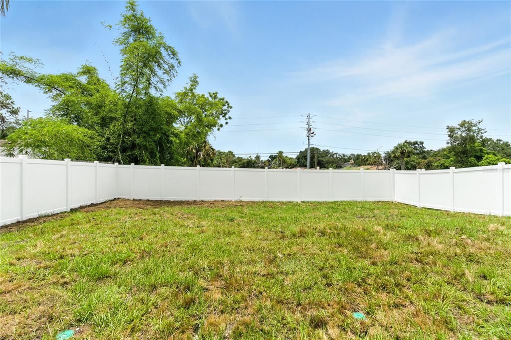 Backyard, Exterior