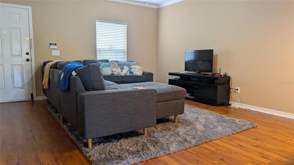 Interior, Living room, Wood Texture Flooring