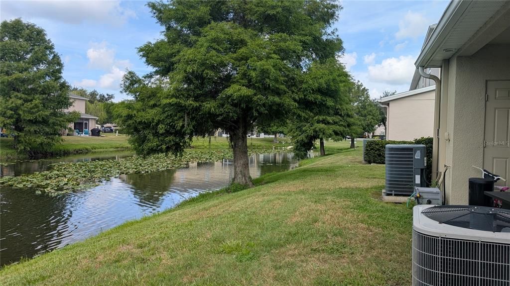 Exterior, Water
