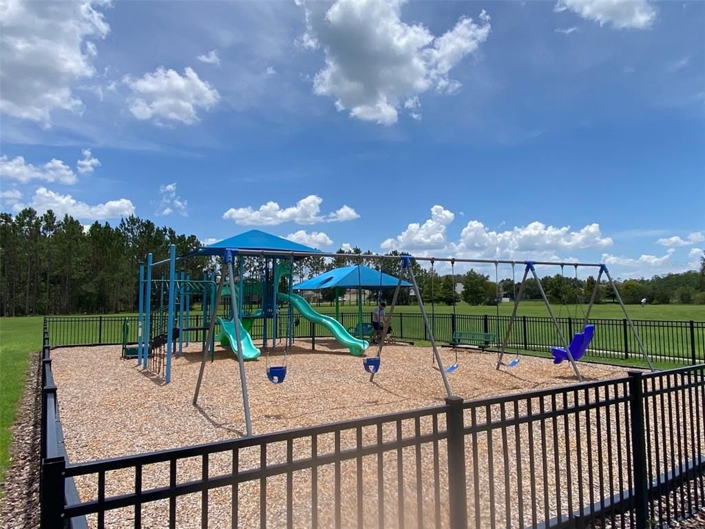 Backyard, Exterior, Playground