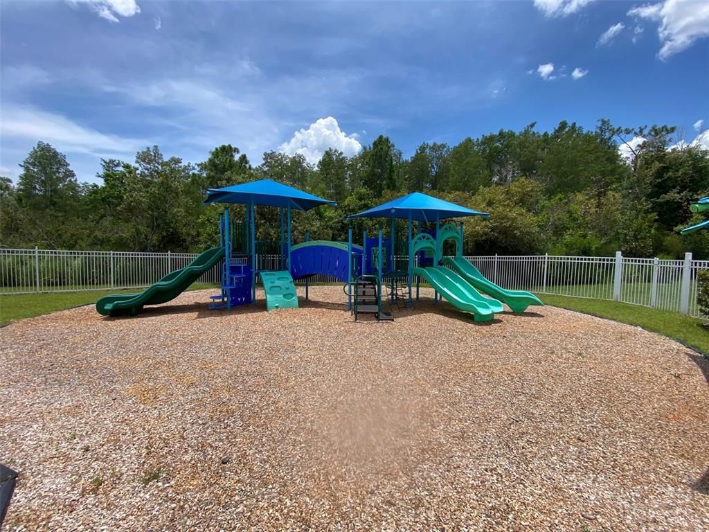Backyard, Exterior, Playground